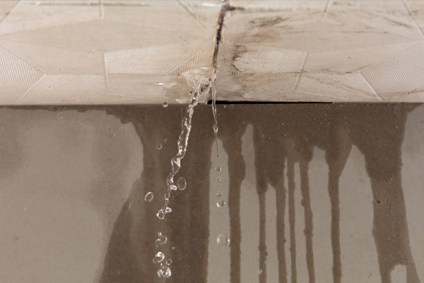 Professional Structural Drying technician working in Clark, PA
